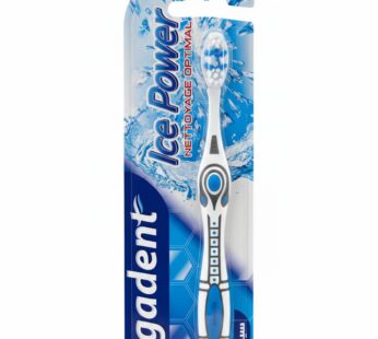 Brosse à Dents Sigadent Ice Power