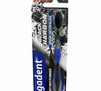Brosse à Dents Sigadent « Black Charbon »